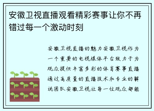 安徽卫视直播观看精彩赛事让你不再错过每一个激动时刻